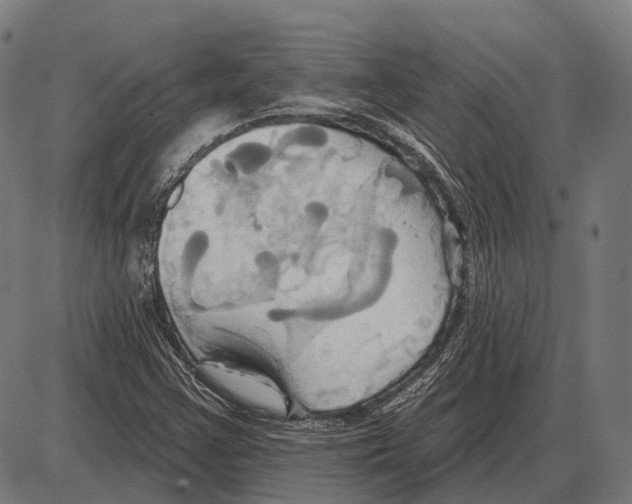 X0000084021355200703161729