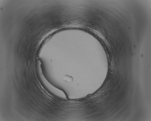 X0000084021356200703161729