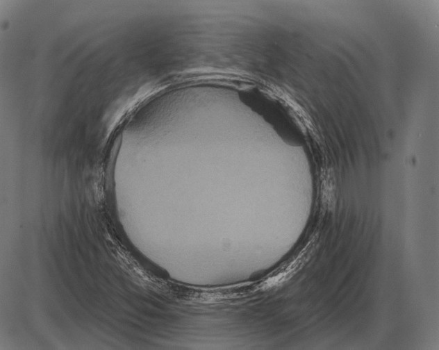 X0000084021357200703161729