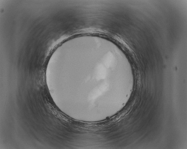 X0000084021358200703161729