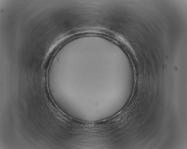 X0000084021360200703161729