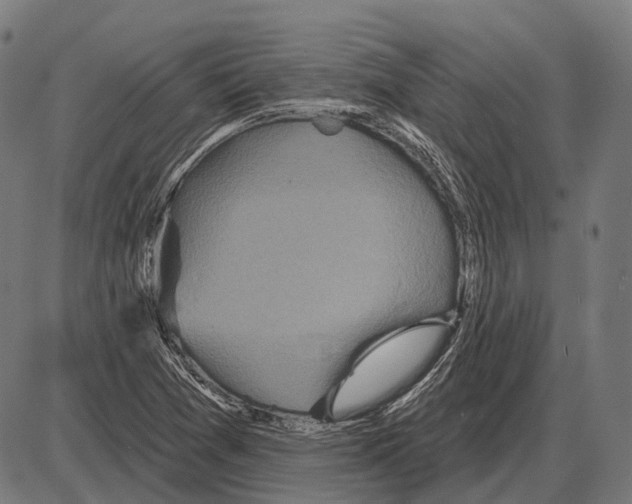 X0000084021361200703161729