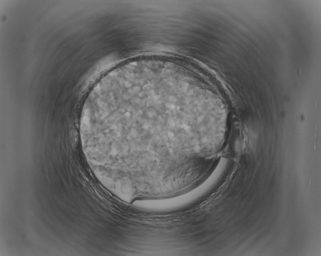 X0000084021363200703161728