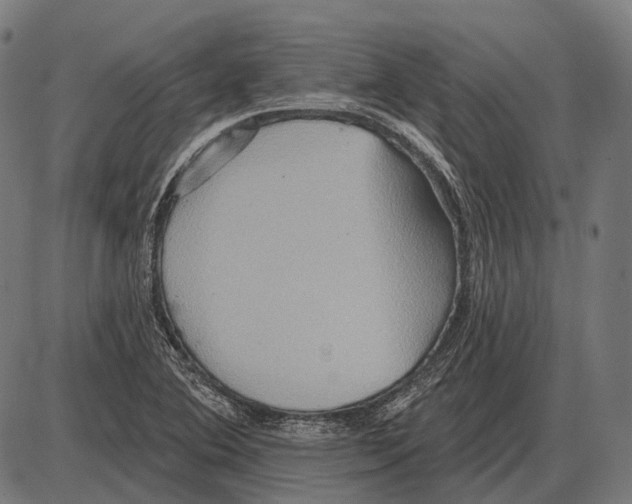 X0000084021364200703161728