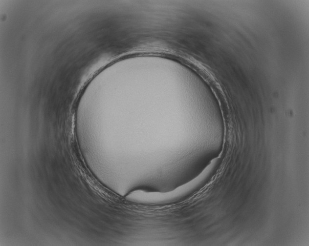 X0000084021366200703161728