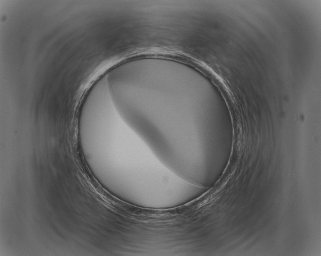 X0000084021367200703161728