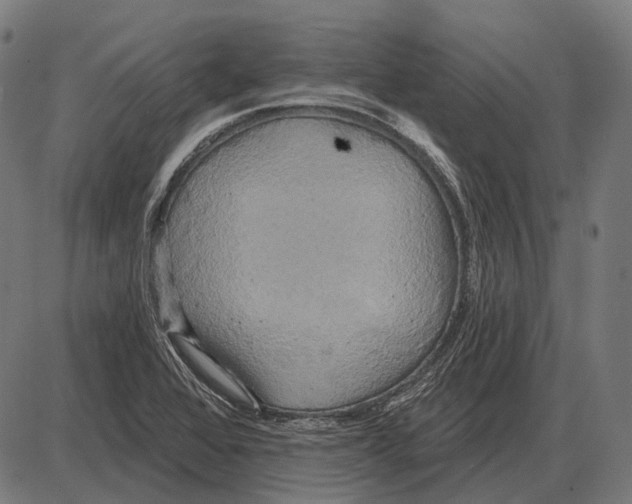 X0000084021368200703161728