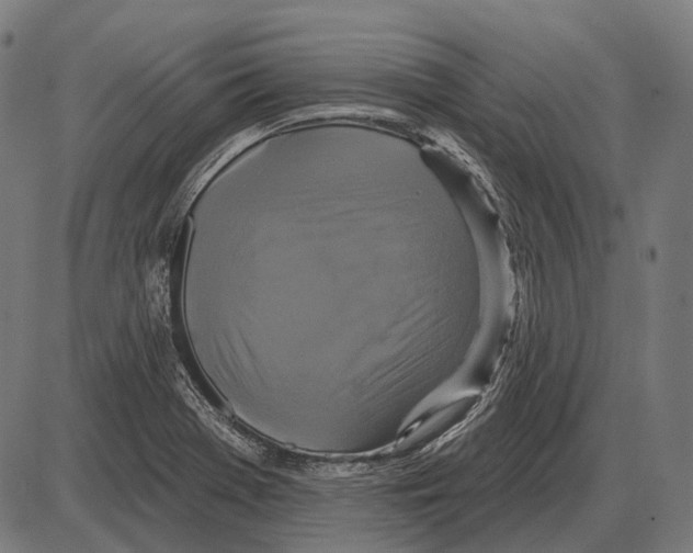 X0000084021369200703161728