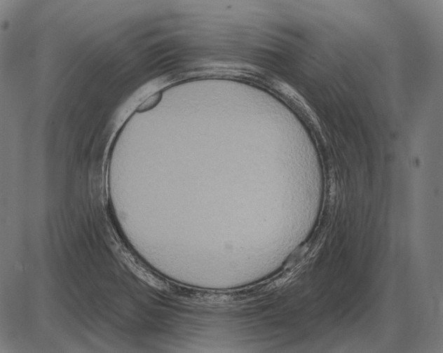 X0000084021370200703161728