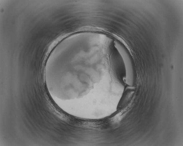 X0000084021371200703161728