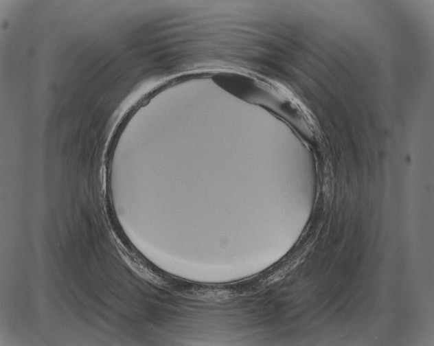 X0000084021372200703161728