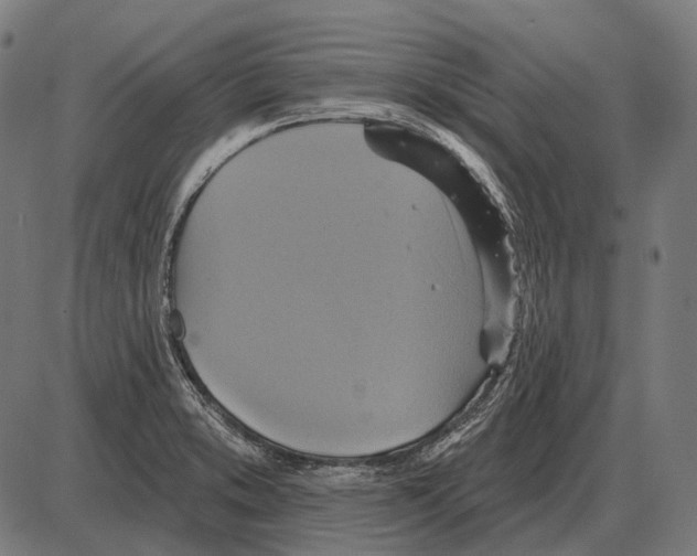 X0000084021373200703161728