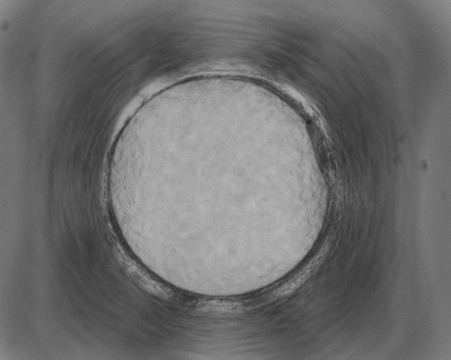 X0000084021374200703161728