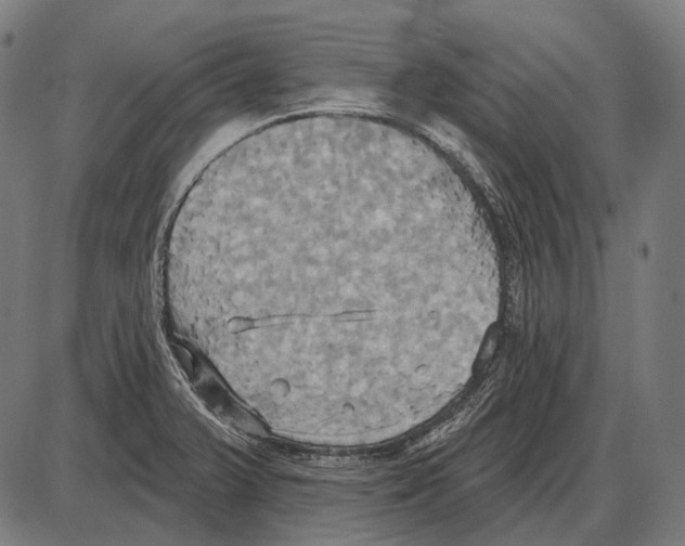 X0000084021375200703161728