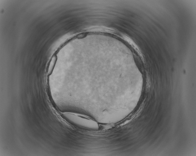 X0000084021376200703161728