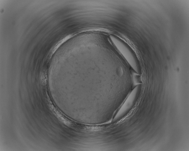 X0000084021377200703161728