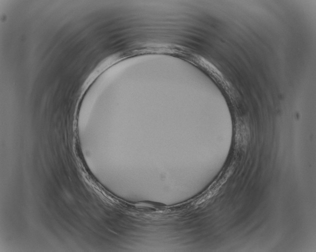 X0000084021378200703161728