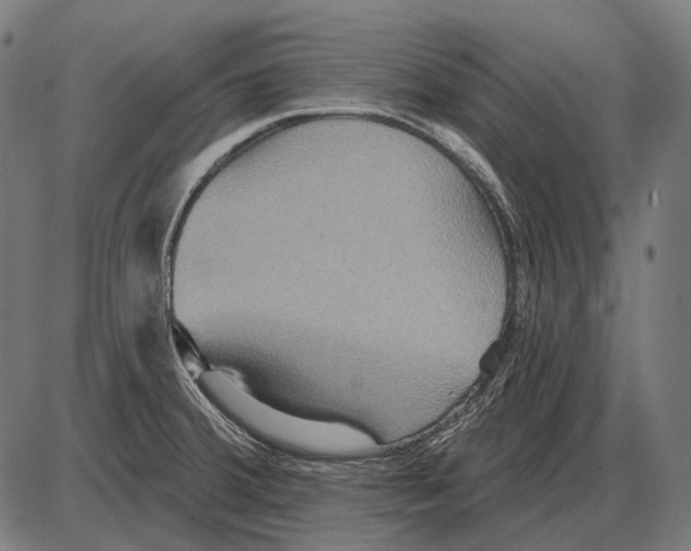 X0000084021380200703161728