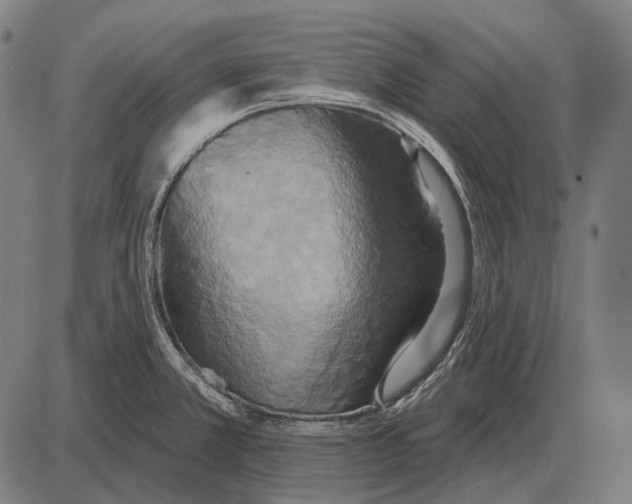 X0000084021381200703161728