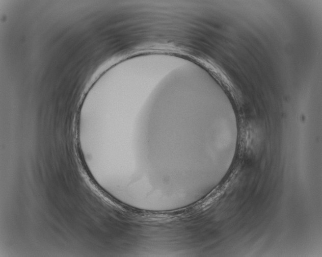 X0000084021382200703161728