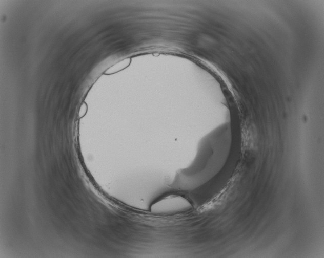 X0000084021383200703161728