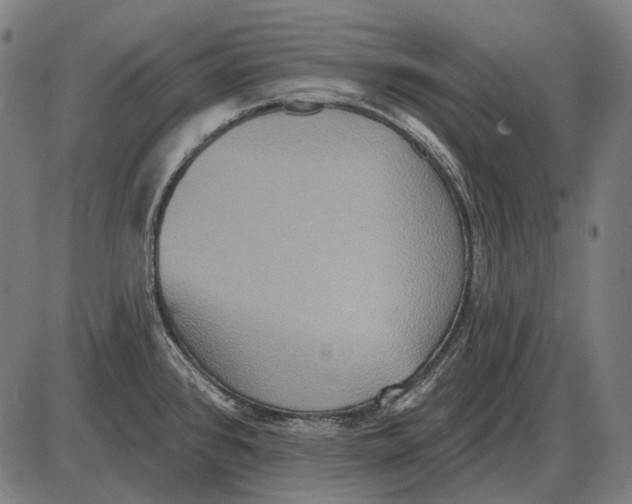 X0000084021384200703161728