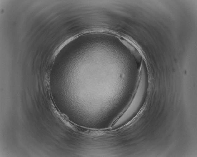 X0000084021385200703161728