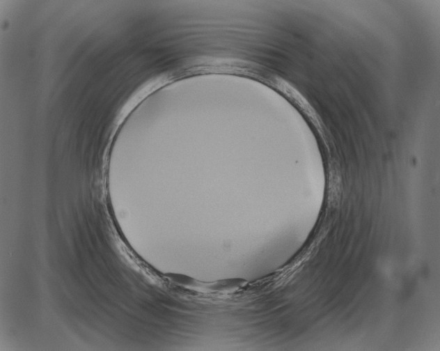 X0000084021386200703161728