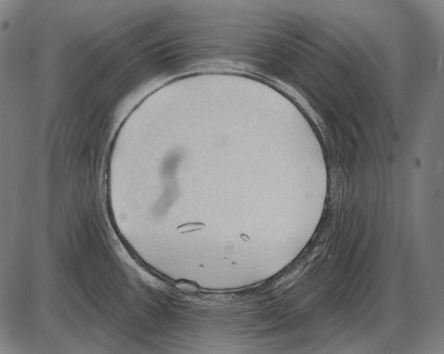 X0000084021387200703161728