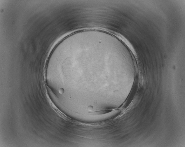 X0000084021388200703161728