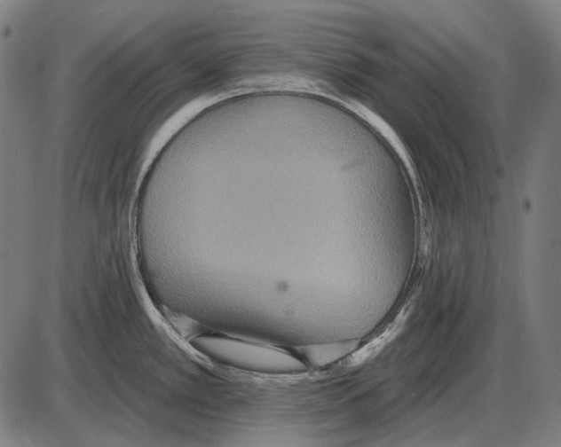 X0000084021389200703161728