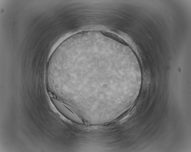 X0000084021390200703161728