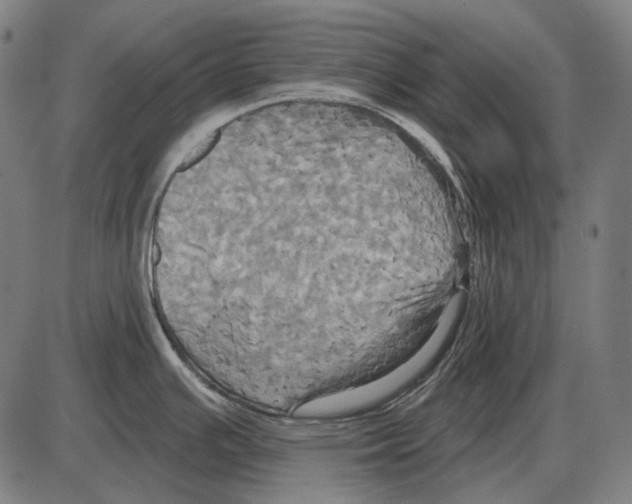 X0000084021391200703161728