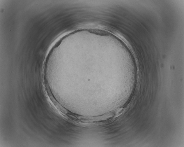 X0000084021392200703161728