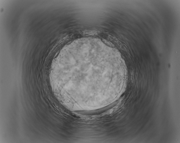 X0000084021393200703161727