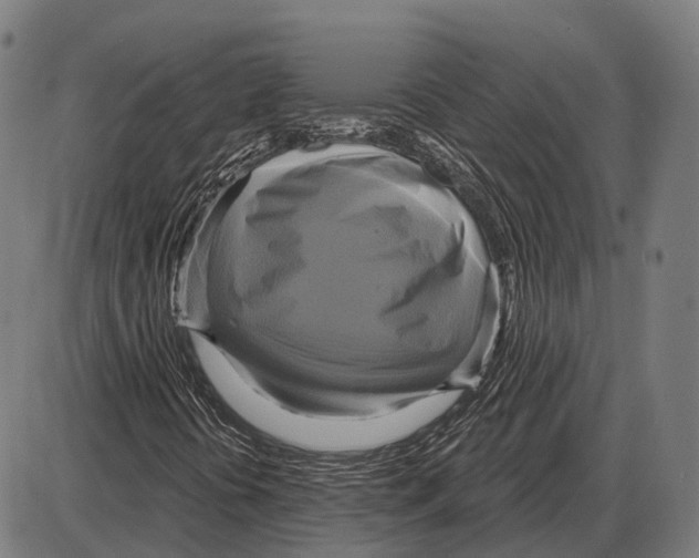 X0000084021394200703161727