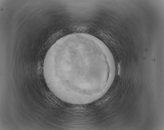 X0000084021395200703161727