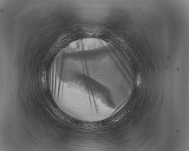 X0000084021396200703161727