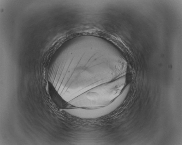 X0000084021399200703161727