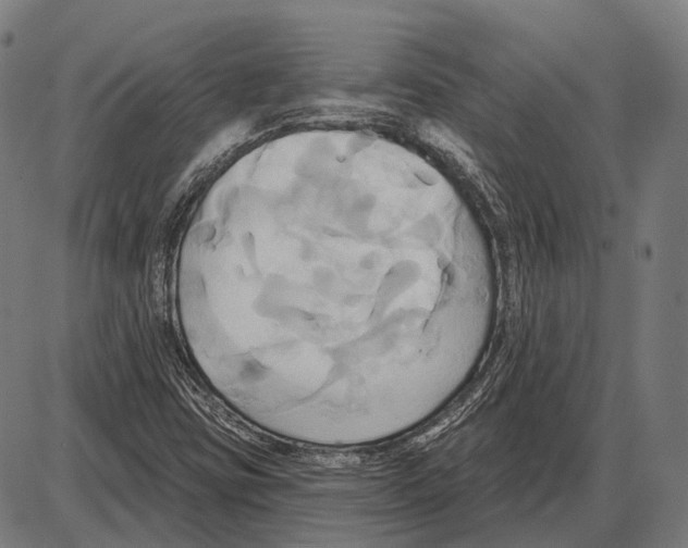 X0000084021403200703161727