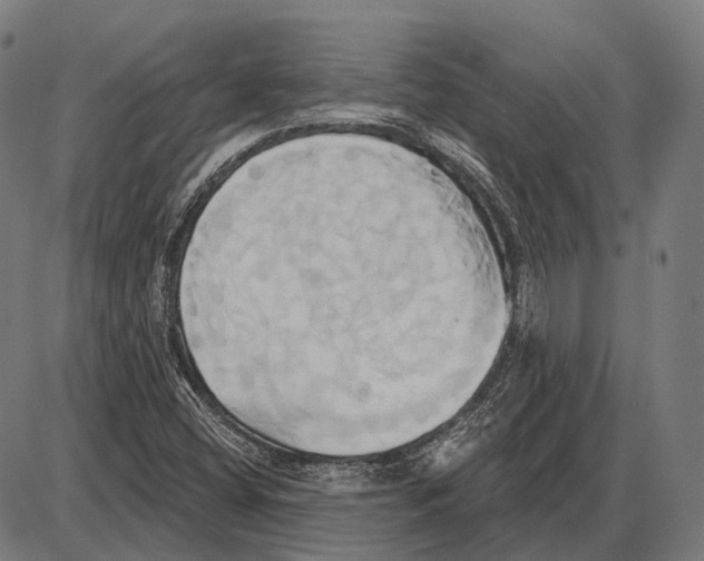 X0000084021404200703161727