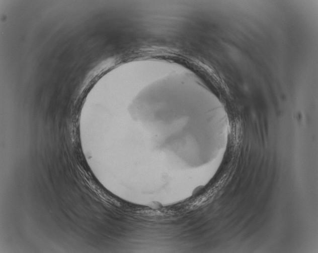 X0000084021405200703161727