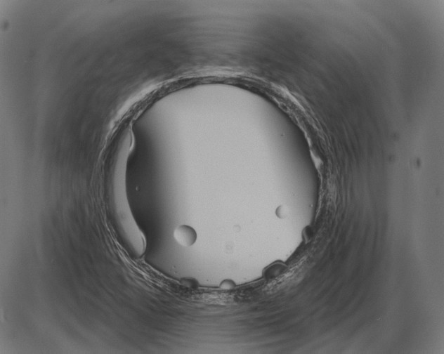 X0000084021406200703161727