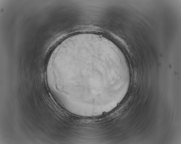 X0000084021407200703161727