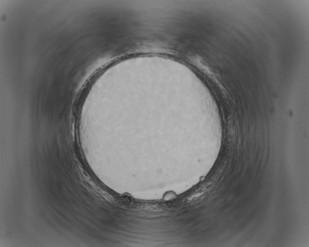 X0000084021408200703161727