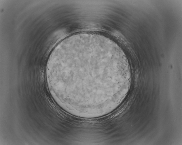 X0000084021409200703161727