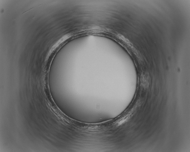 X0000084021410200703161728