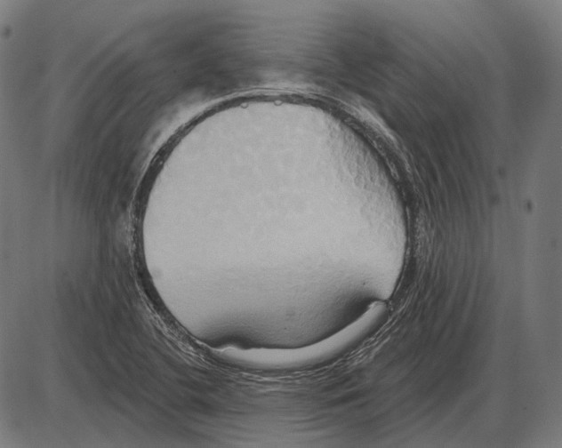 X0000084021412200703161728