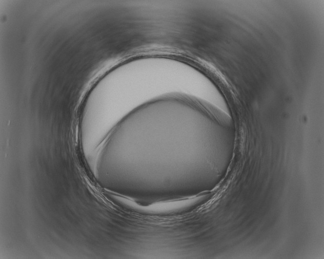 X0000084021413200703161728