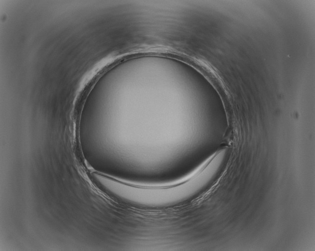 X0000084021414200703161728